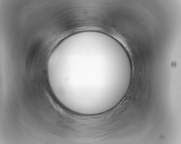 X0000094350013200711021323
