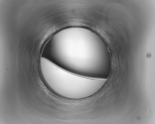 X0000094350015200711021323