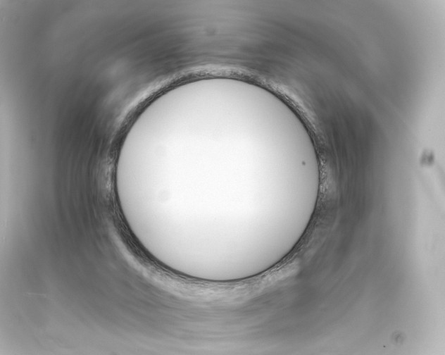 X0000094350016200711021323