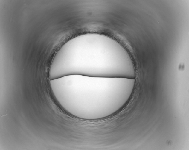X0000094350018200711021323