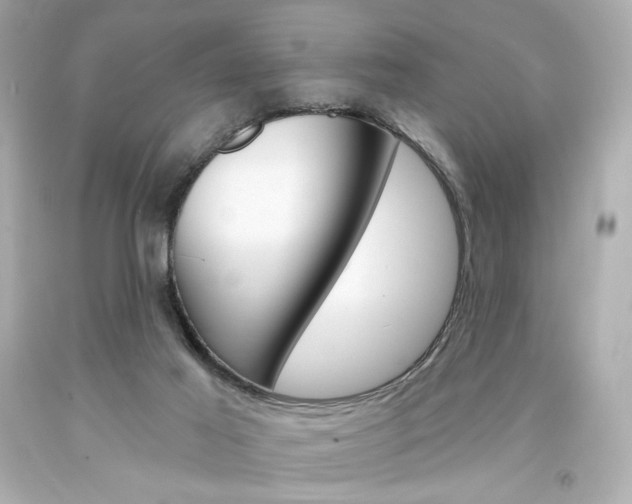 X0000094350021200711021323