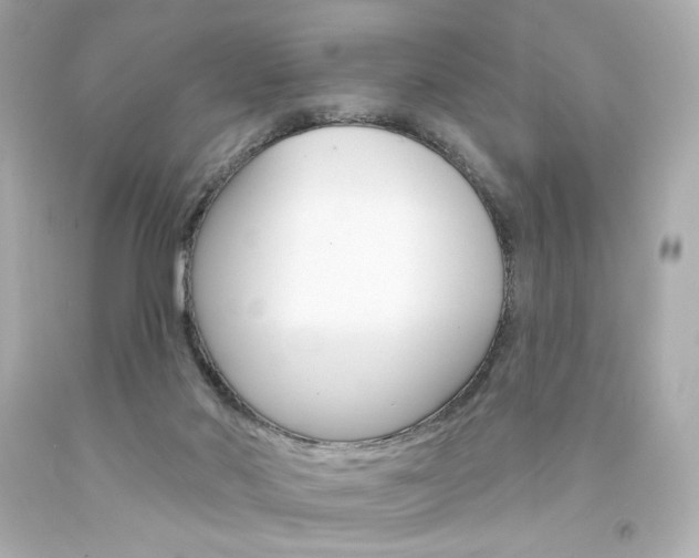 X0000094350022200711021323