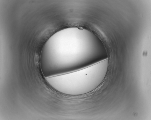 X0000094350025200711021323