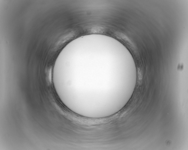 X0000094350028200711021323