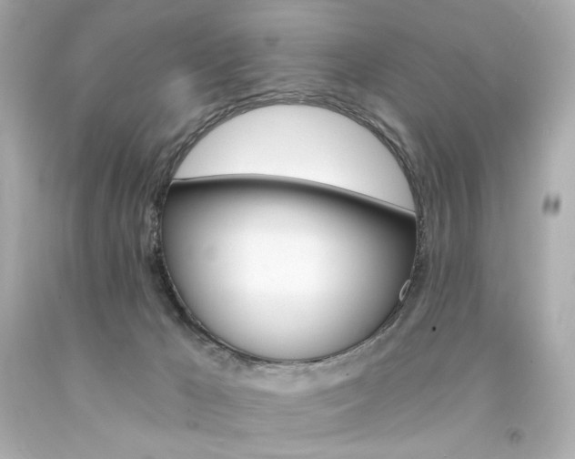 X0000094350029200711021323