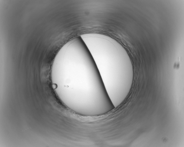 X0000094350030200711021323