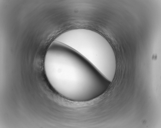 X0000094350031200711021323