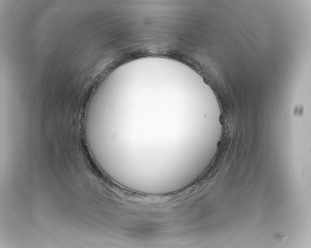 X0000094350032200711021323