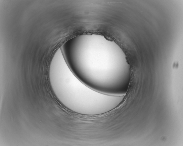 X0000094350033200711021323