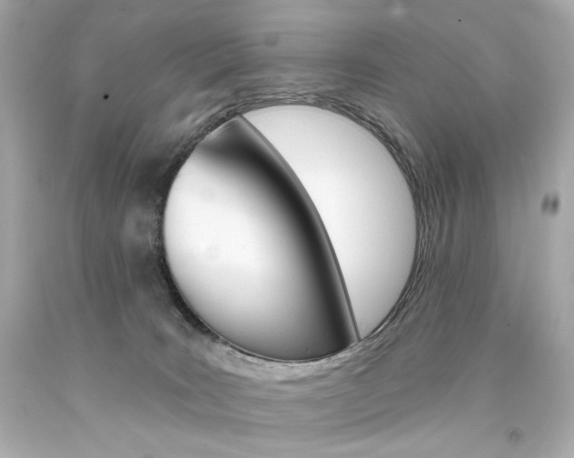 X0000094350035200711021323