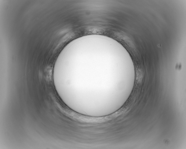 X0000094350036200711021323