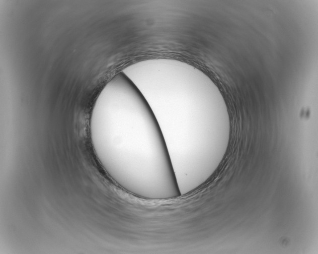 X0000094350038200711021323