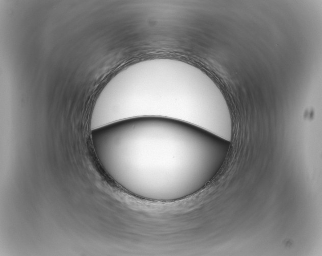 X0000094350039200711021323