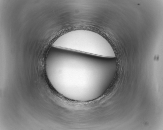 X0000094350040200711021323