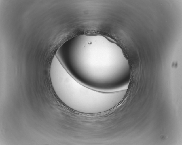 X0000094350041200711021323