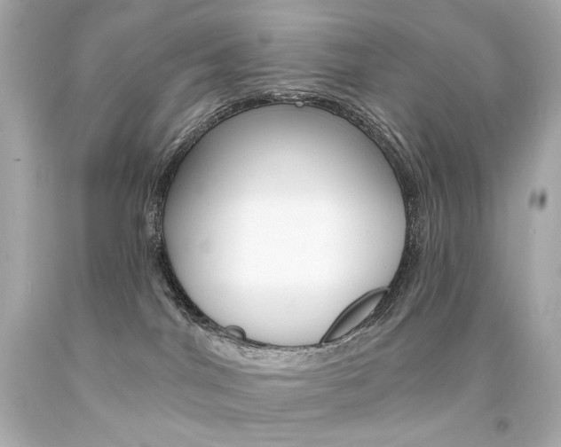 X0000094350044200711021323