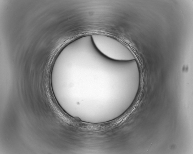 X0000094350049200711021322
