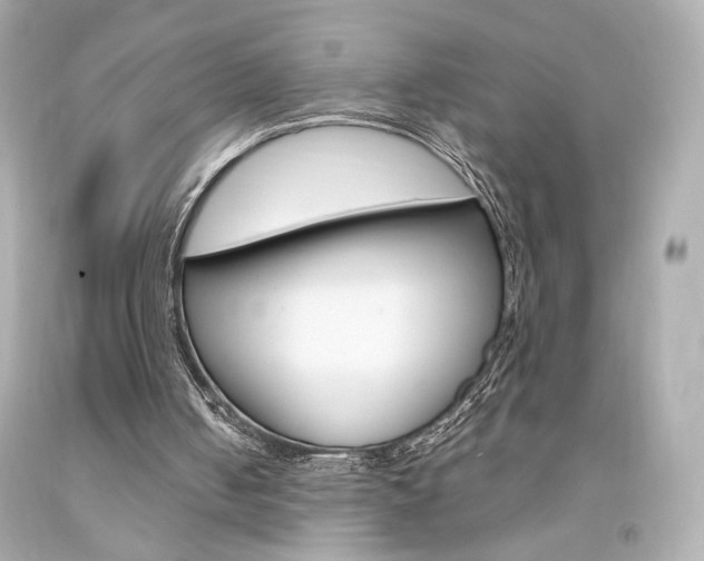 X0000094350050200711021322