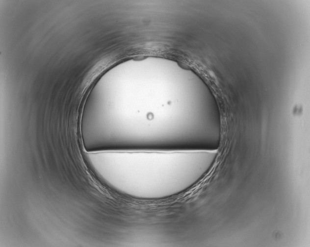 X0000094350051200711021322