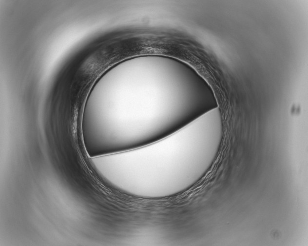 X0000094350052200711021322