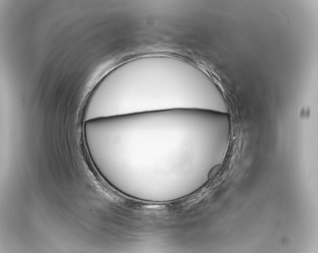 X0000094350053200711021322