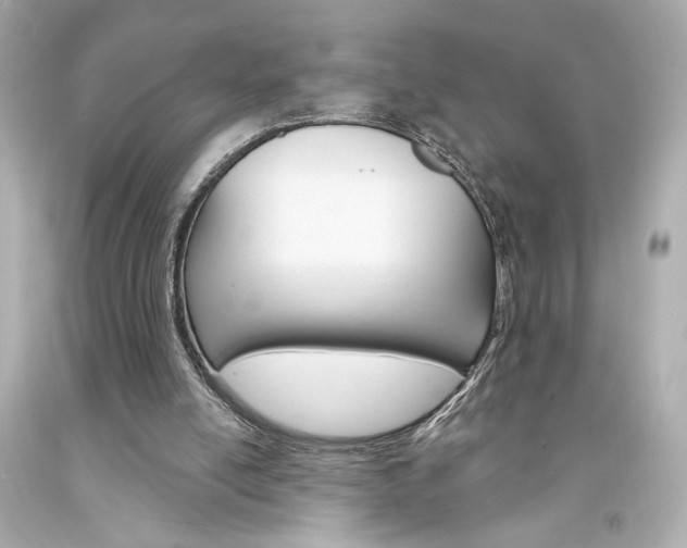 X0000094350054200711021322