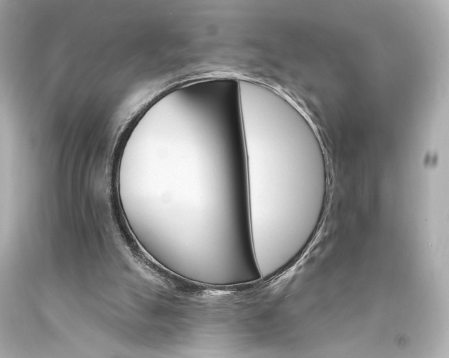 X0000094350055200711021322