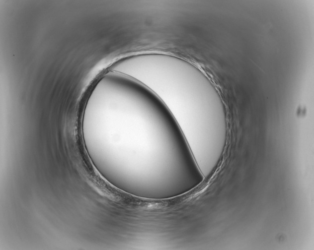 X0000094350056200711021322