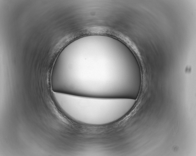 X0000094350057200711021322