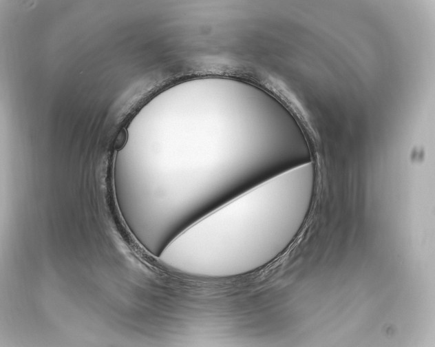 X0000094350058200711021322