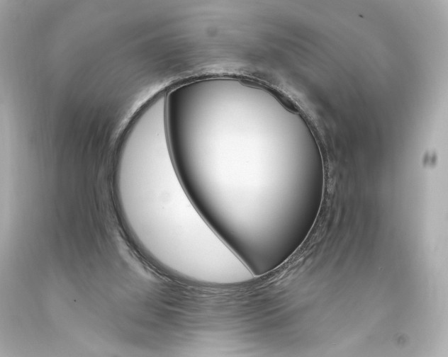 X0000094350060200711021322