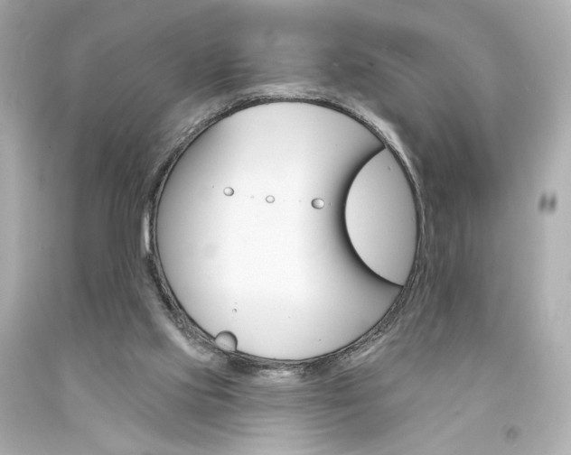 X0000094350061200711021322