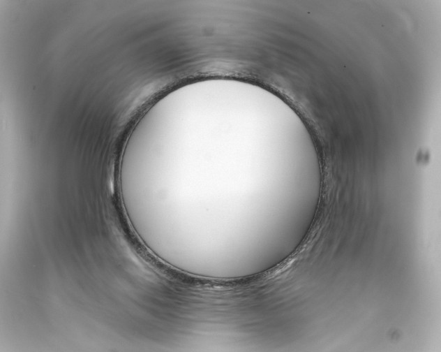 X0000094350062200711021322