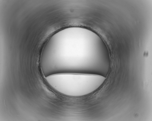 X0000094350063200711021322