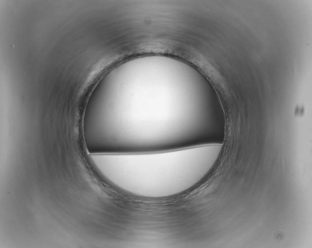 X0000094350064200711021322