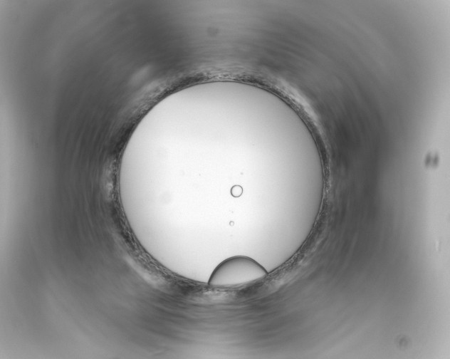 X0000094350065200711021322