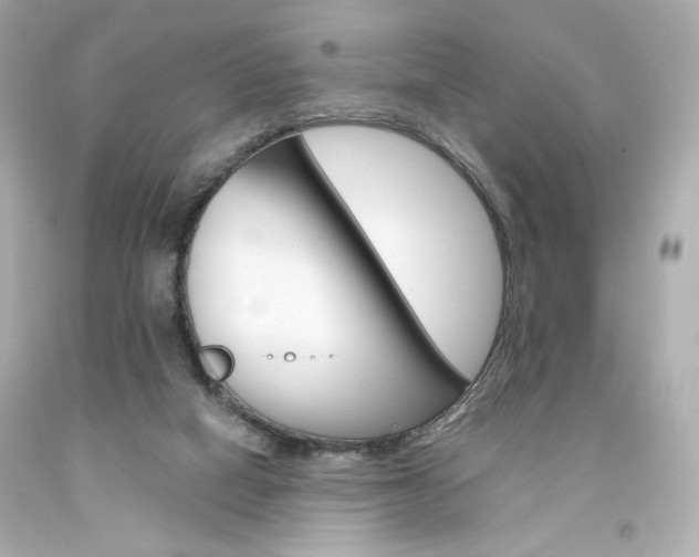 X0000094350066200711021322