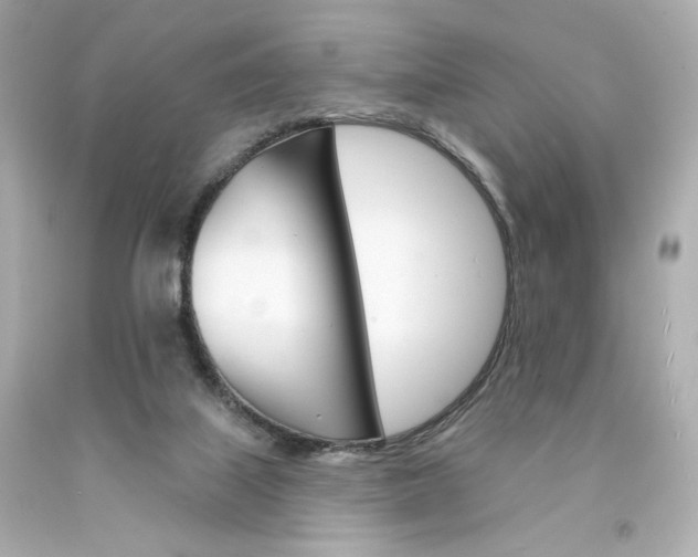 X0000094350067200711021322