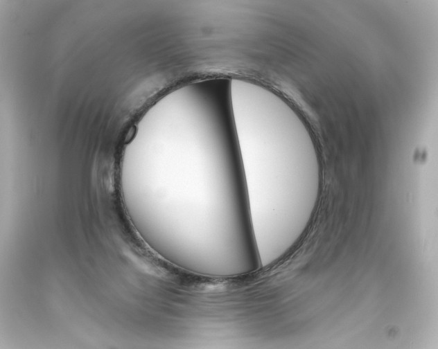 X0000094350068200711021322