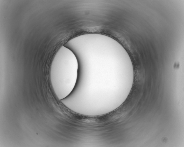X0000094350069200711021322