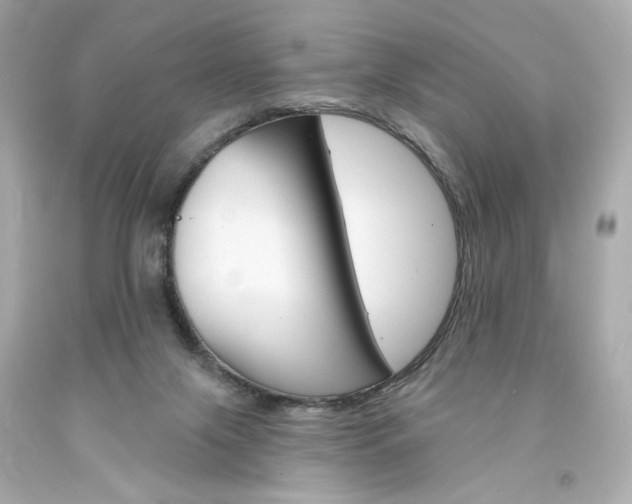 X0000094350071200711021322