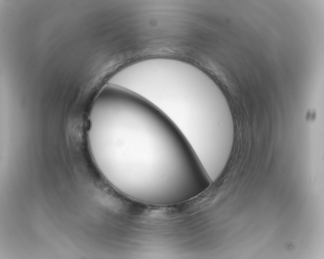 X0000094350072200711021322
