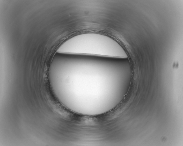 X0000094350073200711021323