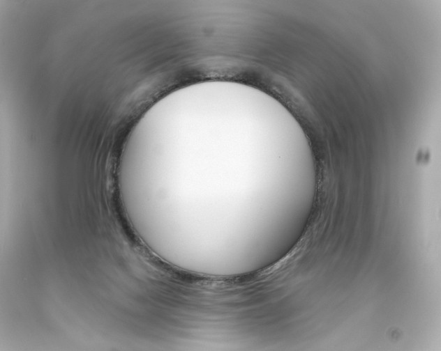 X0000094350074200711021323