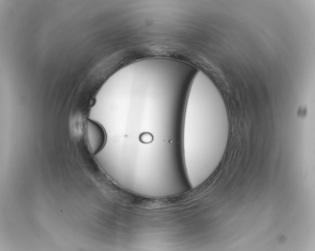X0000094350075200711021323