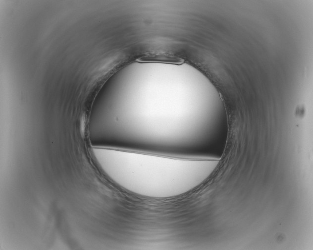 X0000094350076200711021323