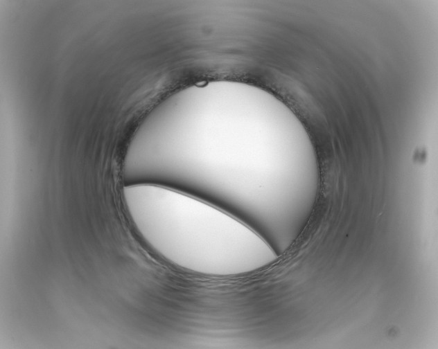 X0000094350077200711021323