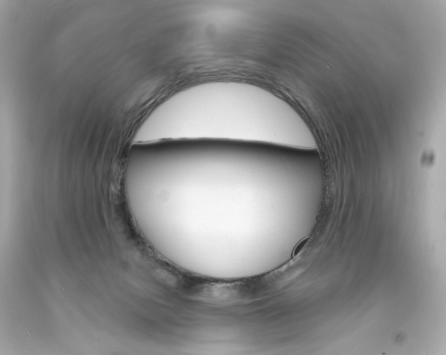 X0000094350078200711021323