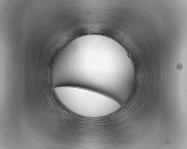 X0000094350079200711021323