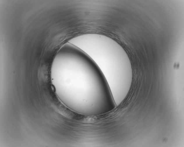 X0000094350080200711021323